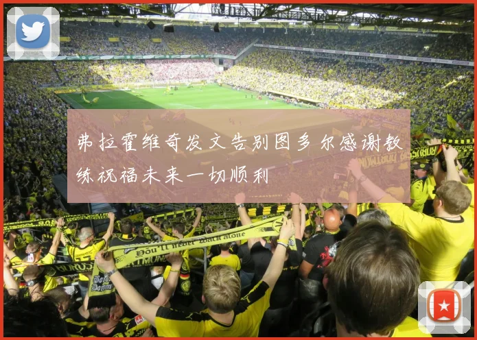 弗拉霍维奇发文告别图多尔感谢教练祝福未来一切顺利