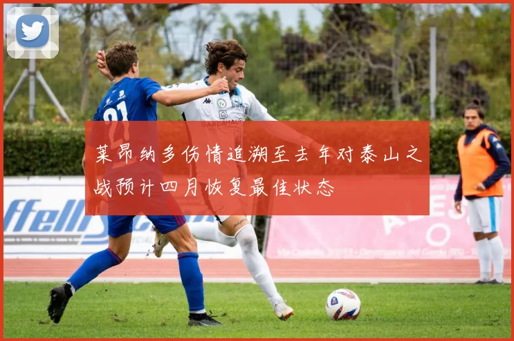 莱昂纳多伤情追溯至去年对泰山之战预计四月恢复最佳状态