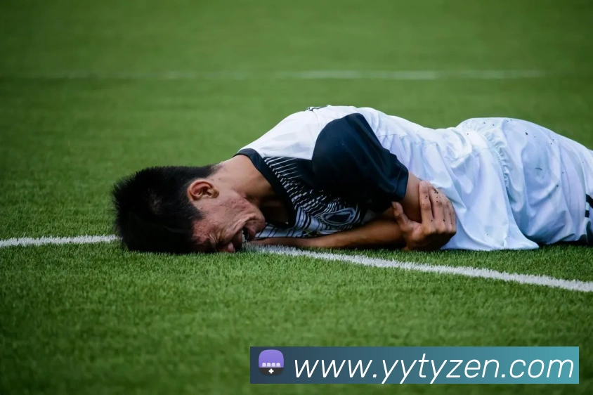 多媒体互动体验